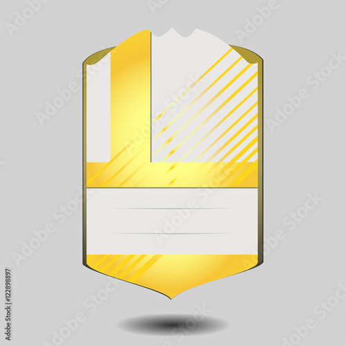 vector football player card template isolated on gray background. Football player statistics card. Best soccer players information, football club transfer card pattern. Add information for any player