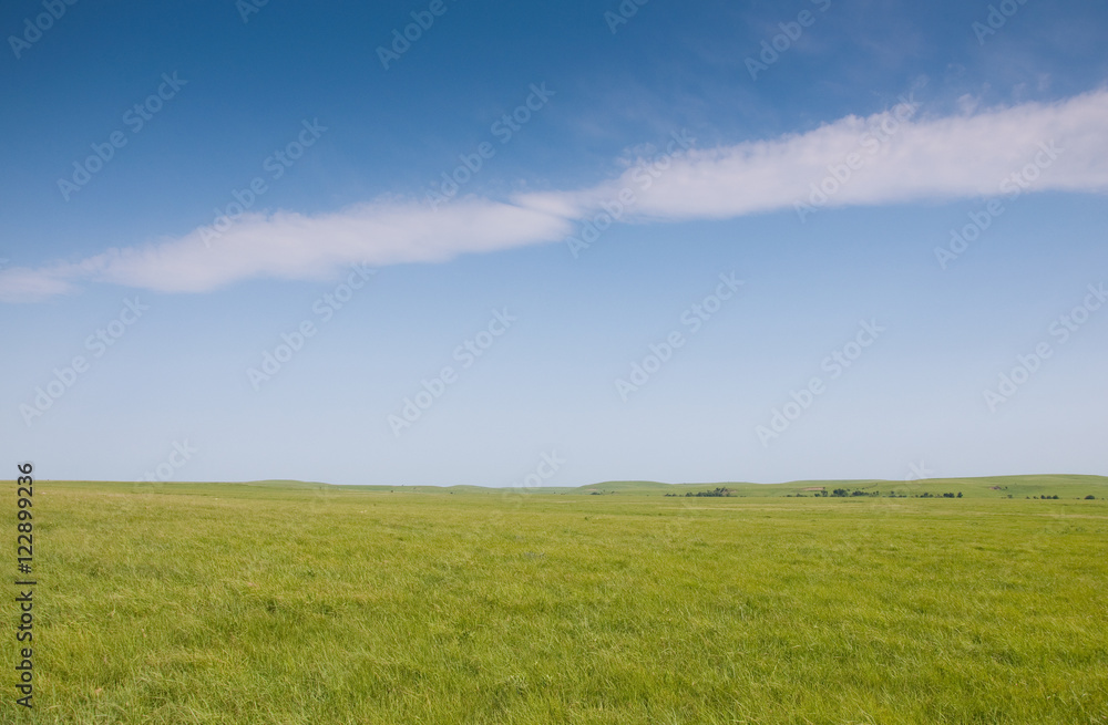 Lush green spring grass in wide open prairie pasture in late spring