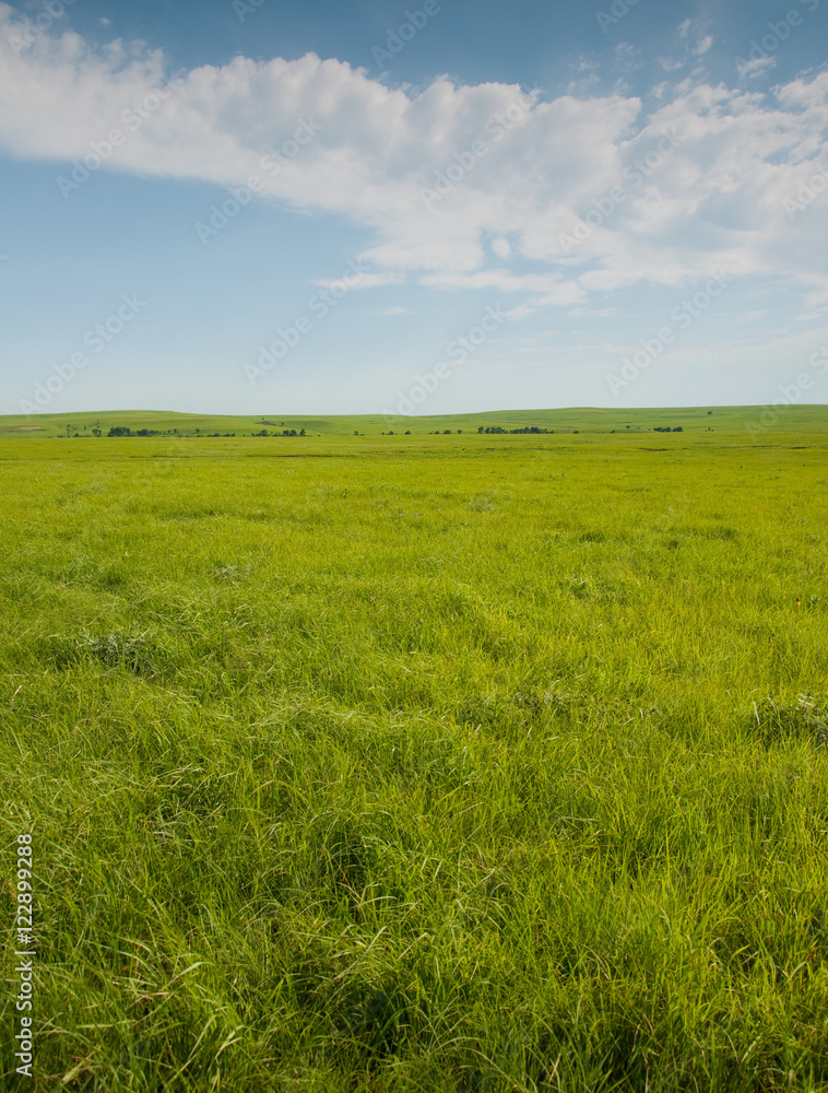 Wide open prairie with lush green grass in late spring
