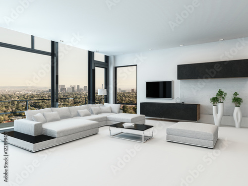 Stylish modern black and white living room