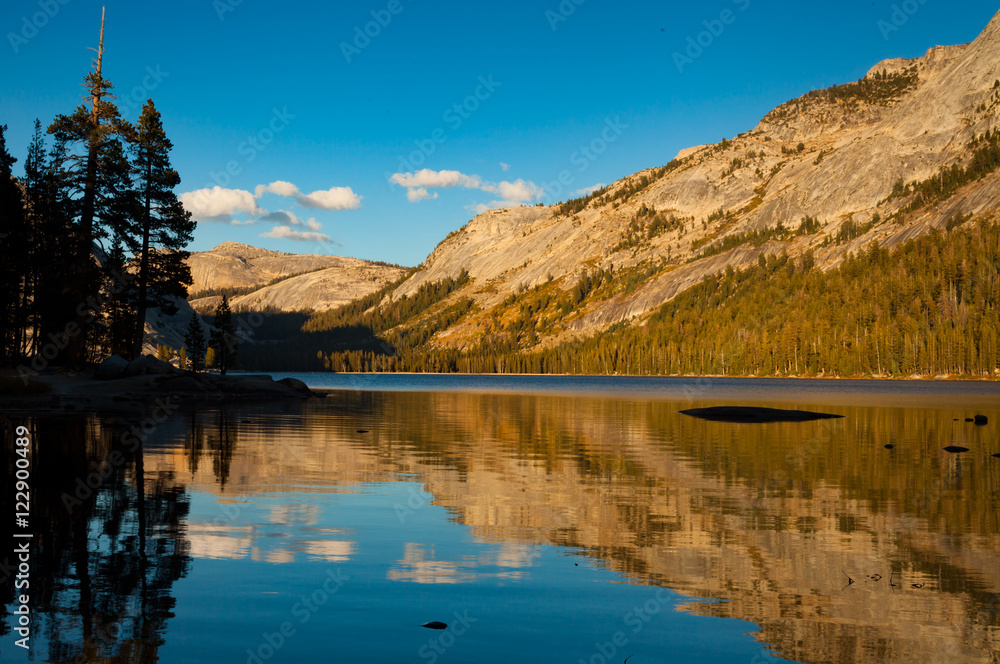 Obraz premium Deer Country Eastern Sierra 2016