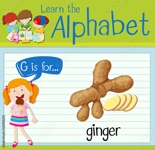 Flashcard letter G is for ginger