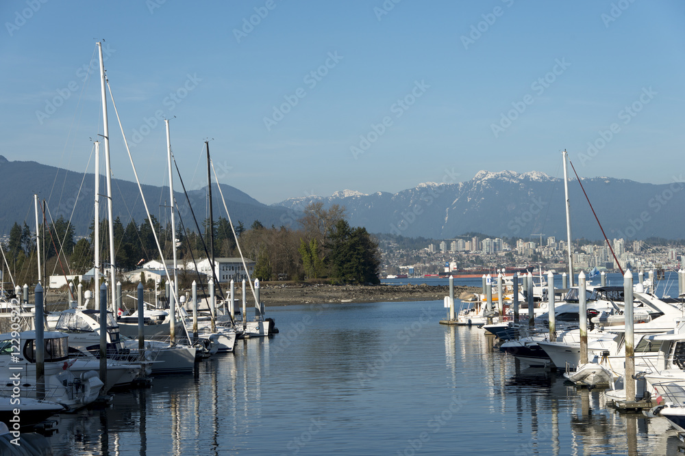 Boats at marina, Coal Harbour, Vancouver, British Columbia, Cana