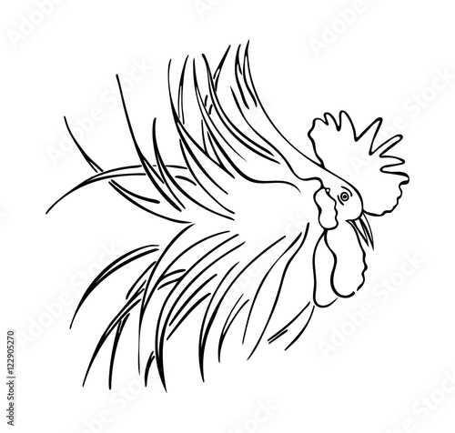 Silhouette of a rooster head.  Cock sketch, hand drawing. Symbol of New Year 2017. Vector.