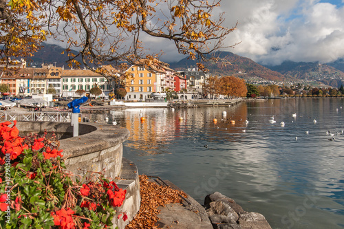 Flowers and Panorama of Vevey and Lake Geneva, Switzerland
