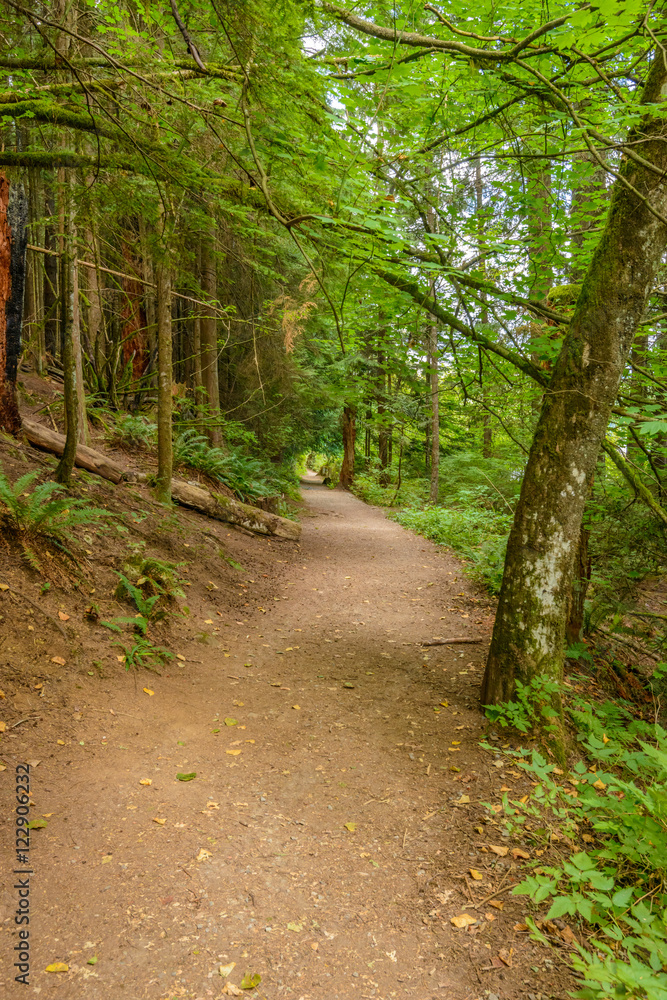 Fragment of Hayward Lake Park trail in Vancouver, Canada.