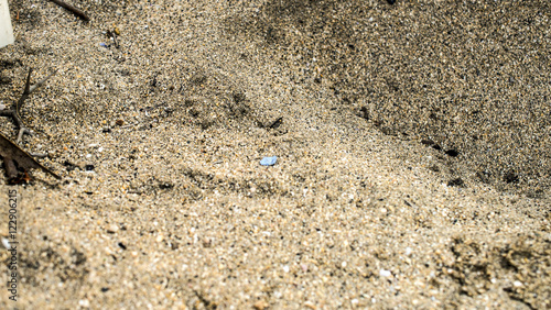 Beach Sand Detail