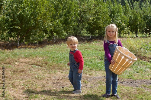 adorable Brother and Sister siblings wearing overalls holding basket on farm picking apples © hollydc