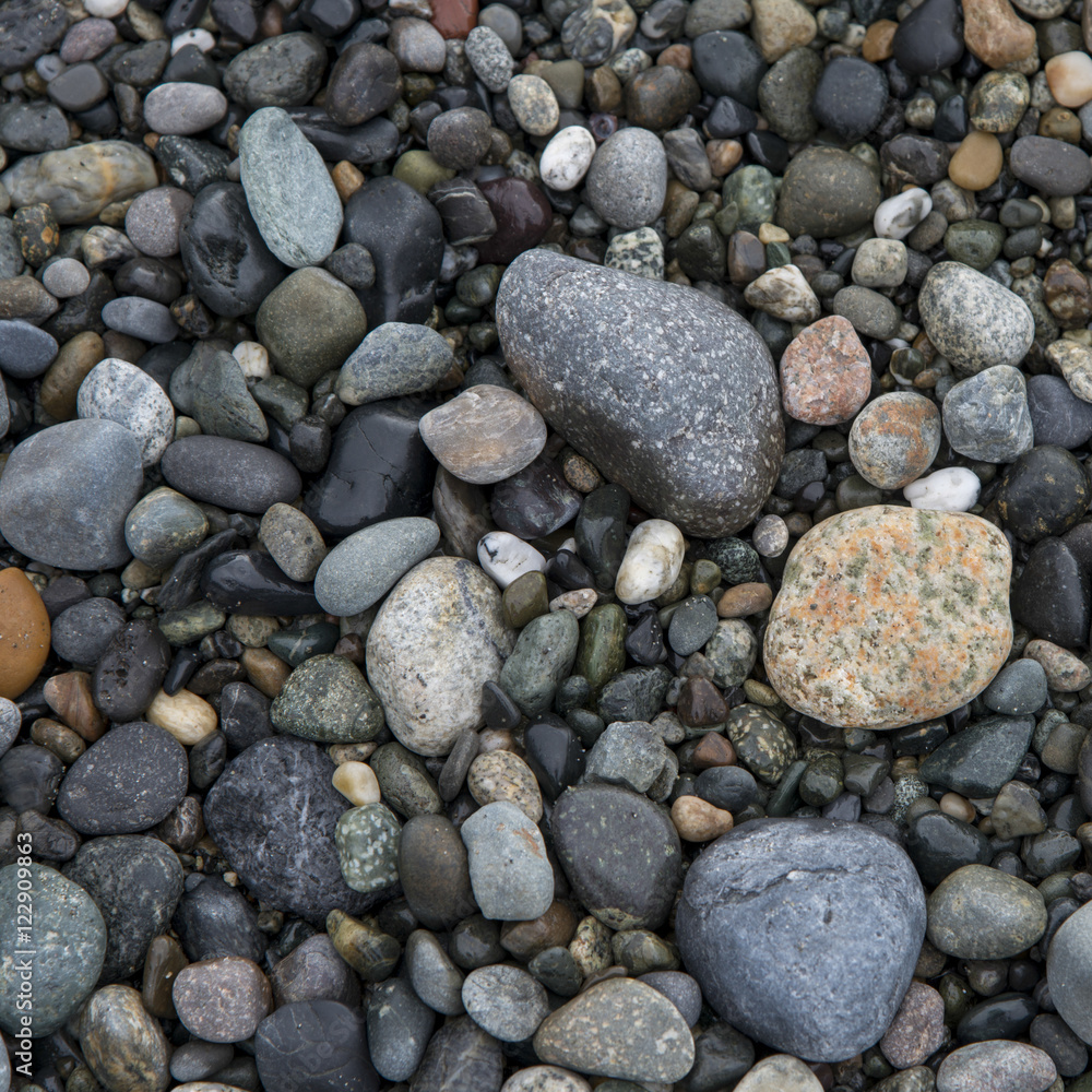 Close-up of pebbles, Deception Pass State Park, Washington State Close-up of pebbles, Deception Pass State Park, Washington State