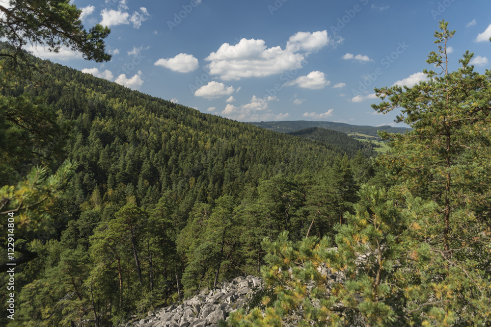 Certova stena stone wall in forest Certova stena stone wall in forest