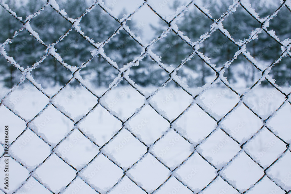 Fototapeta premium wire fence and snow. wire mesh fence in the snow. texture, background