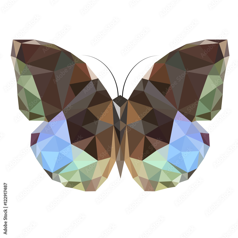 vector low poly Monarch butterfly on white background Stock Vector