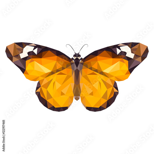vector low poly Monarch butterfly on white background