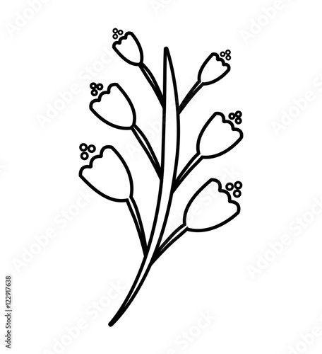 beautiful flower cute monochrome icon vector illustration design