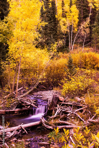 Wallpaper Mural Autumn colors Torontodigital.ca
