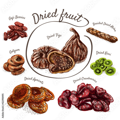 Dried fruits colorful illustration.