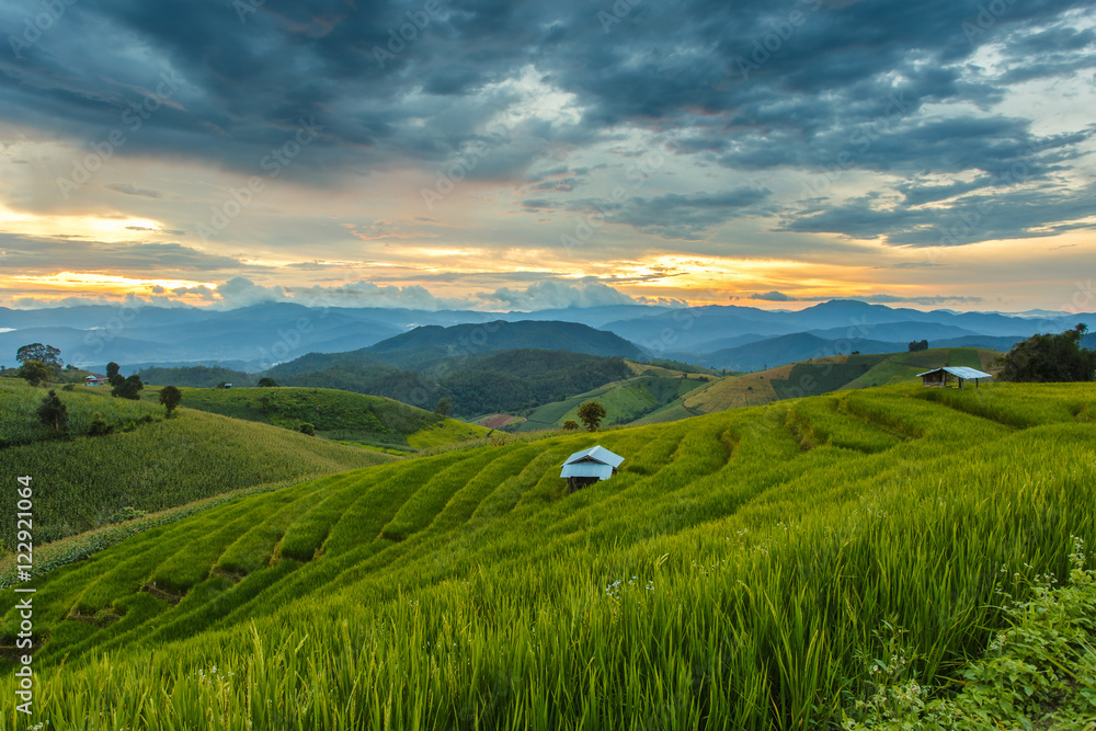 Green Terraced Rice Field in Pa Pong Pieng , Mae Chaem, Chiang Mai, Thailand Green Terraced Rice Field in Pa Pong Pieng , Mae Chaem, Chiang Mai, Thailand