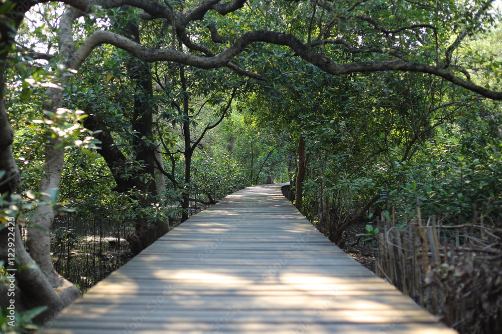 Walkway of mangrove forest in Rayong at Thailand Walkway of mangrove forest in Rayong at Thailand