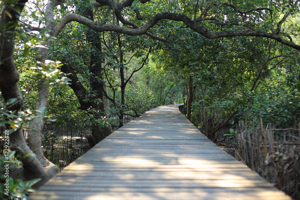 Walkway of mangrove forest in Rayong at Thailand Walkway of mangrove forest in Rayong at Thailand