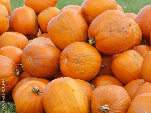 Orange Helloween pumpkins outdoors