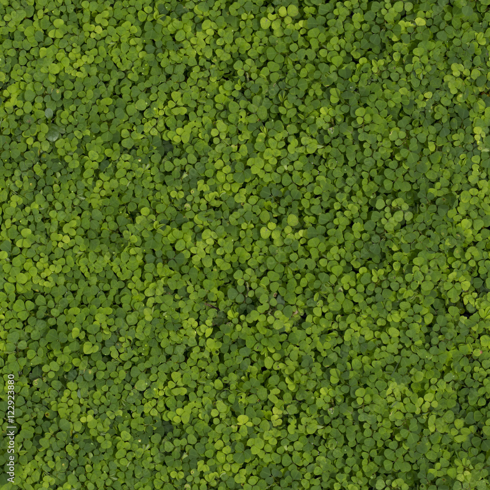 Small plants growing four seamless patterns Small plants growing four seamless patterns