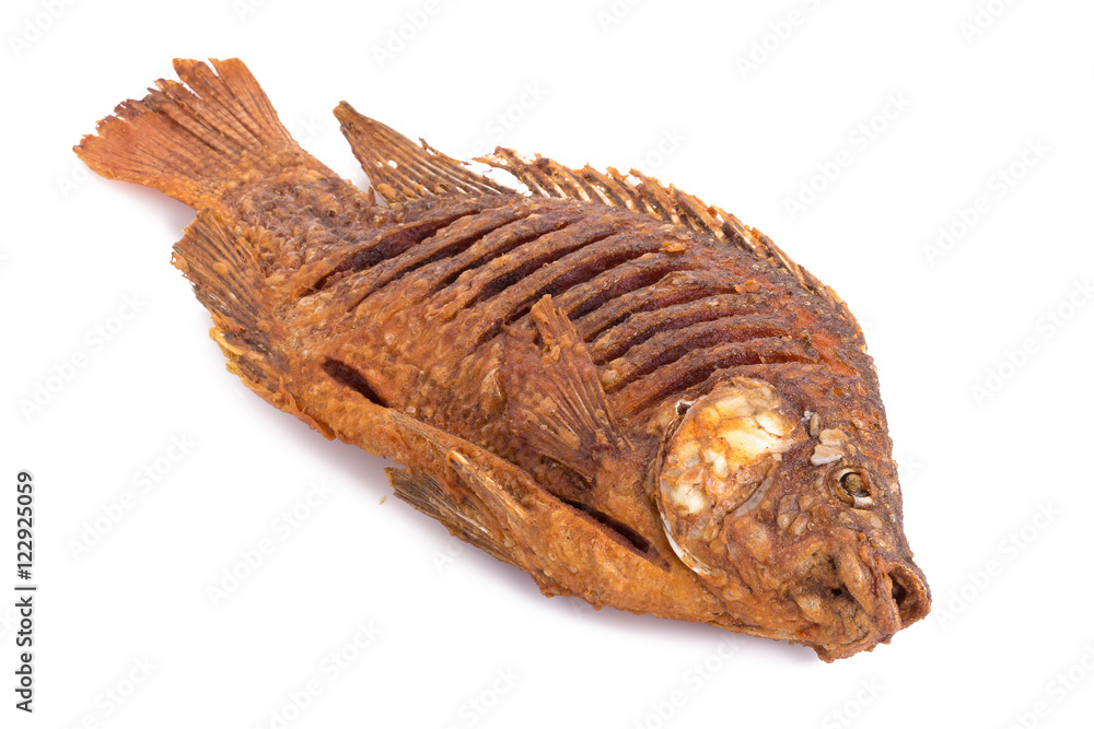 Deep Fried Tilapia Fish with salt on white background Deep Fried Tilapia Fish with salt on white background