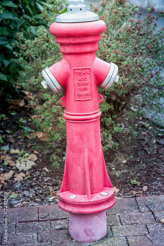 Hydrant for Firefighter photo