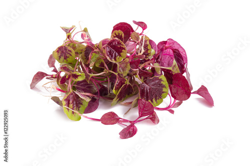 red spinach isolated on white background.