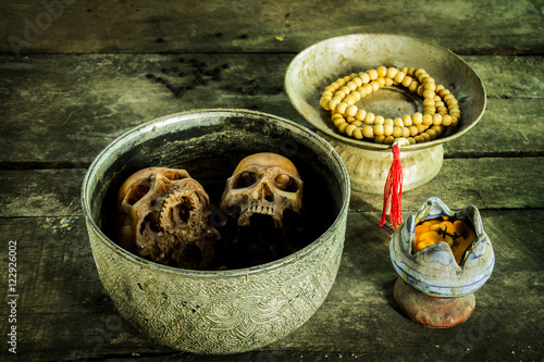still life white skull  bowl on wood