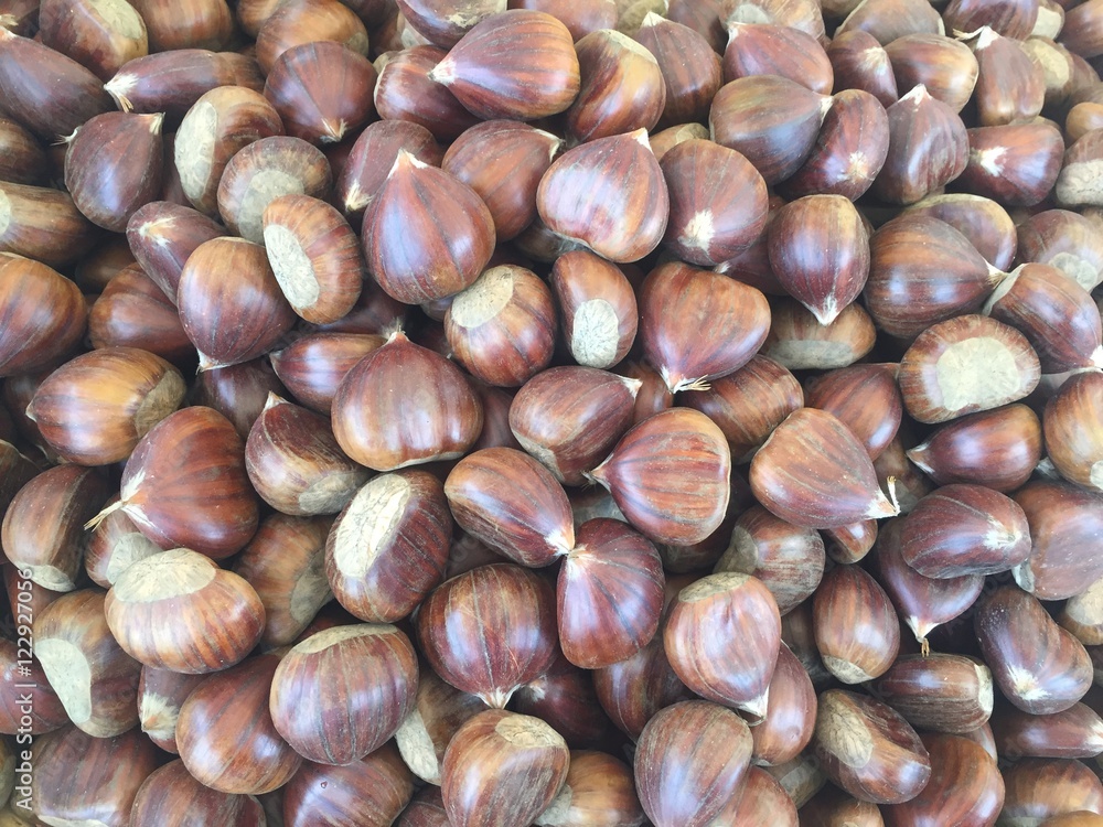 Heap of chestnuts Heap of chestnuts
