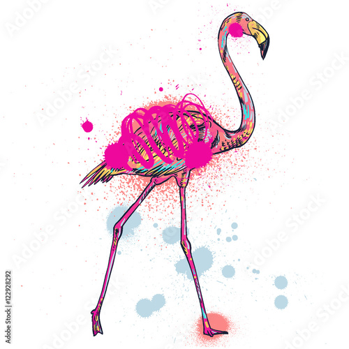 Pink flamingo vector illustration isolated