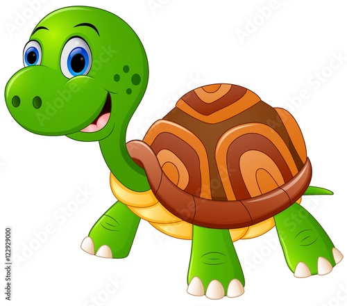 Cute turtle cartoon
