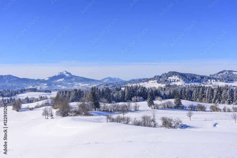 winterliches Allgäu mit Ausblick auf den Grünten 