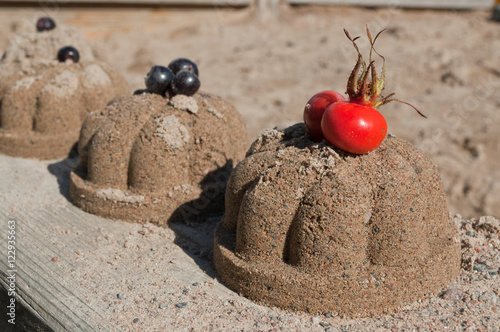 Sand cakes with rose-hip and chokeberries in autumn season. photo