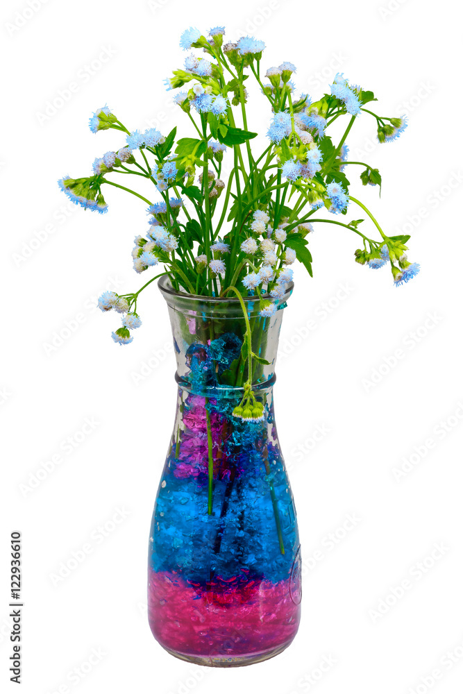 Beautiful flowers in glass bottle with hydrogel isolated on whit