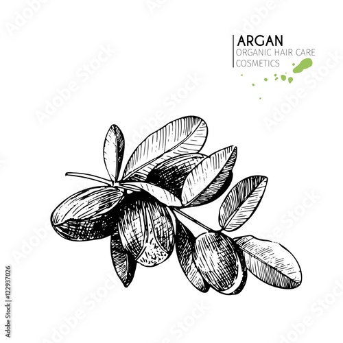 Vector set of hair care ingredients. Organic hand drawn elements. Argan nuts branch.