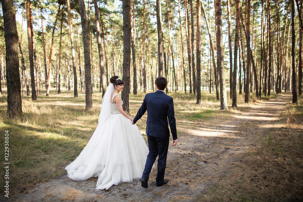 Wedding. Bride and groom waling in the pine forest. Beautiful wedding couple