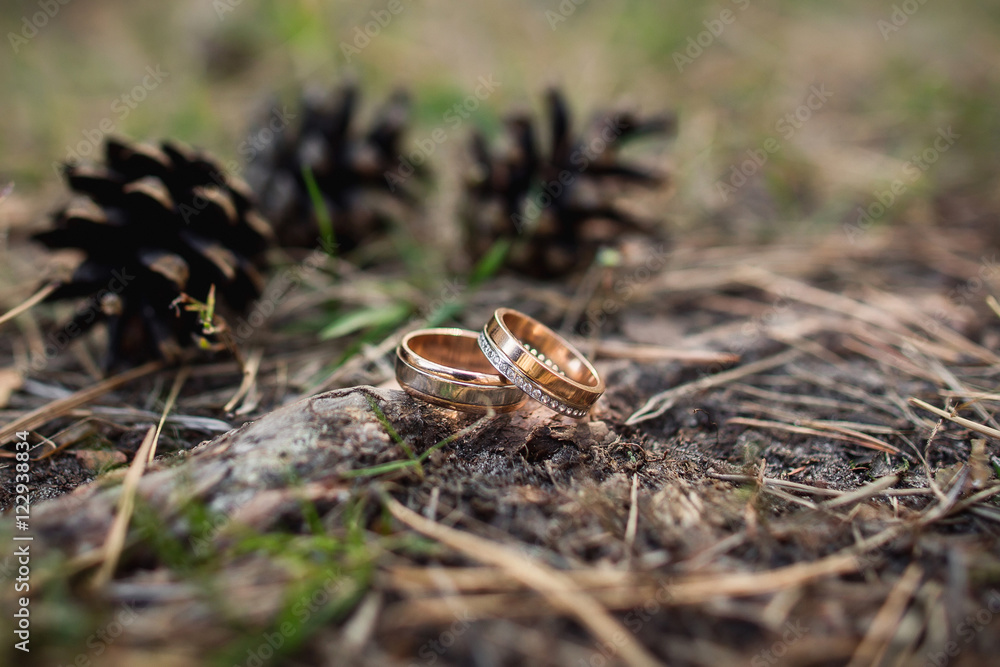 Wedding rings on a background of cones in a pine forest. Eco style of wedding Wedding rings on a background of cones in a pine forest. Eco style of wedding