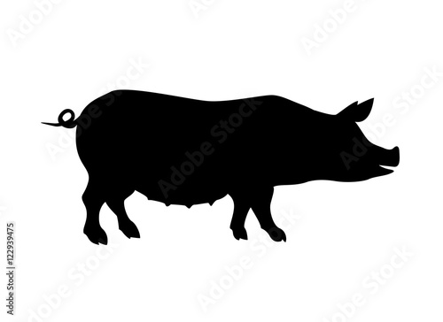  Pig silhouette. Farm animal.