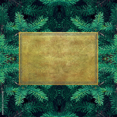 evergreen fir trees