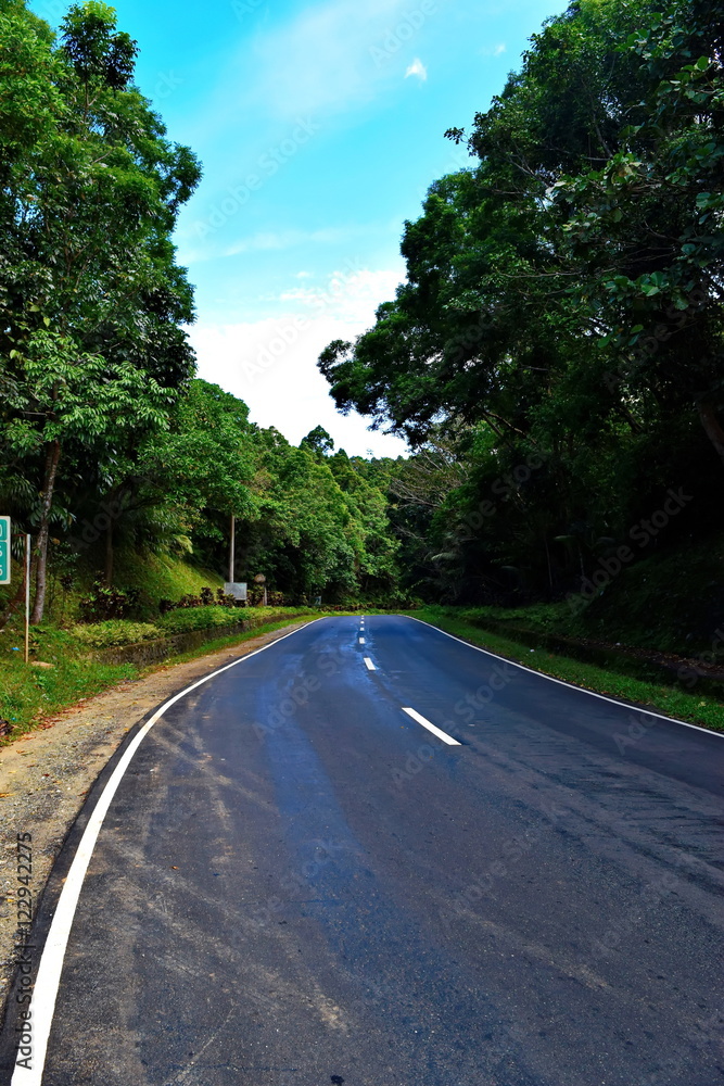 Road in the Philippines with nature