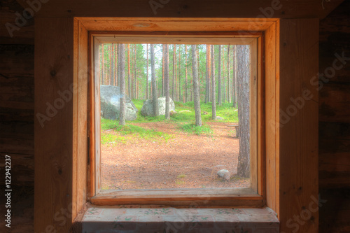 View from the window of the wooden hut in the pine forest in sunny summer day.