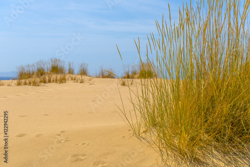 Fototapeta Naklejka Na Ścianę i Meble -  Golden sand on one of the most beautiful beaches in the world in