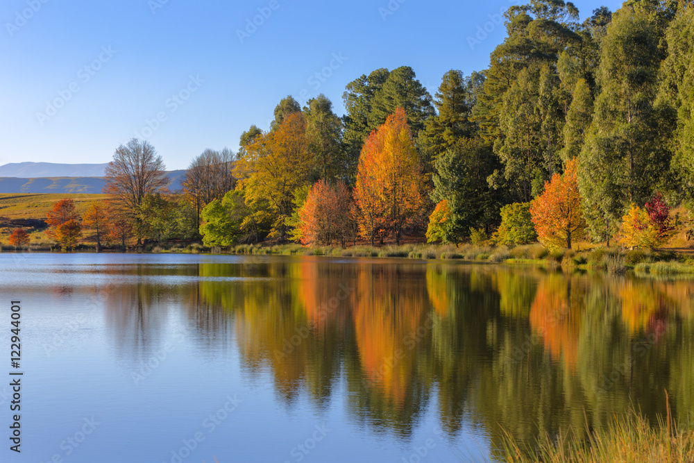 Reflection of trees in autumn