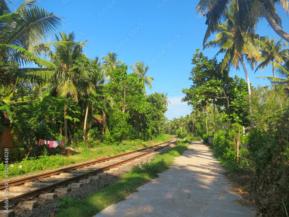 Railway in palm trees forest, Weligama, Sri Lanka Railway in palm trees forest, Weligama, Sri Lanka