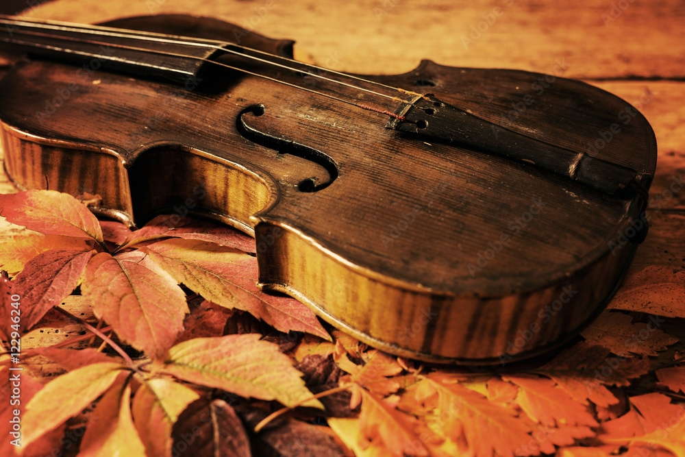 Obraz premium Old violin and autumn leaves over an old rustic wooden table