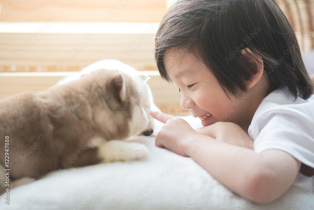 asian child playing with siberian husky puppy asian child playing with siberian husky puppy