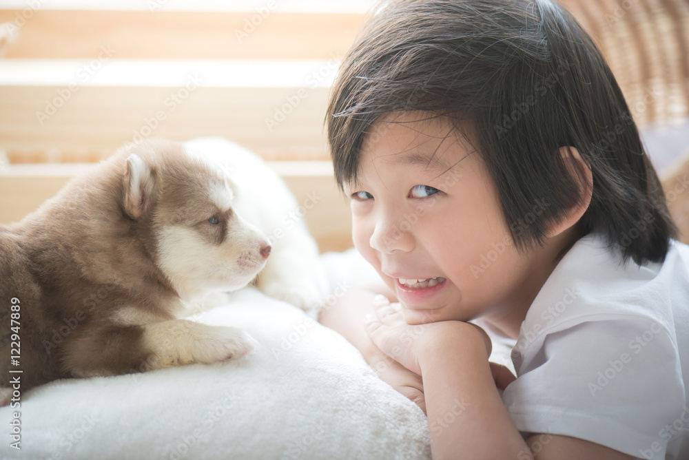 asian child playing with siberian husky puppy asian child playing with siberian husky puppy