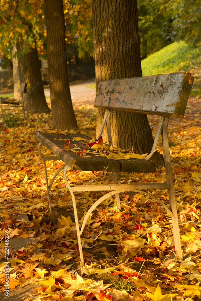 A bench in autumn in Turin Italy