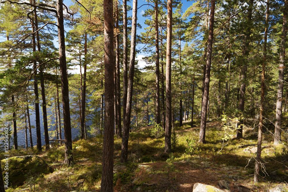 Im Tiveden Nationalpark in Schweden Im Tiveden Nationalpark in Schweden